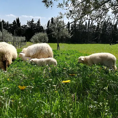 Casa di campagna Fattoria Lombardo *